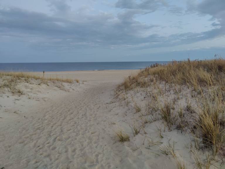 House Bethany Beach