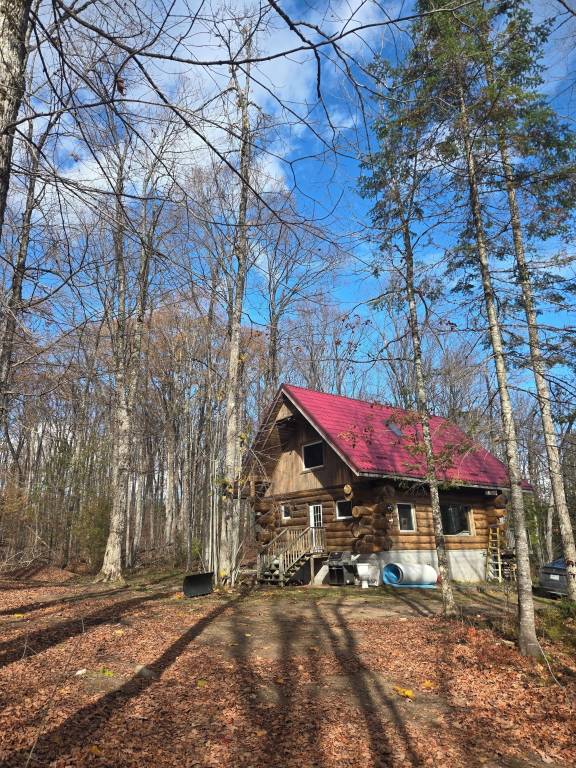 Cabin Kinmount