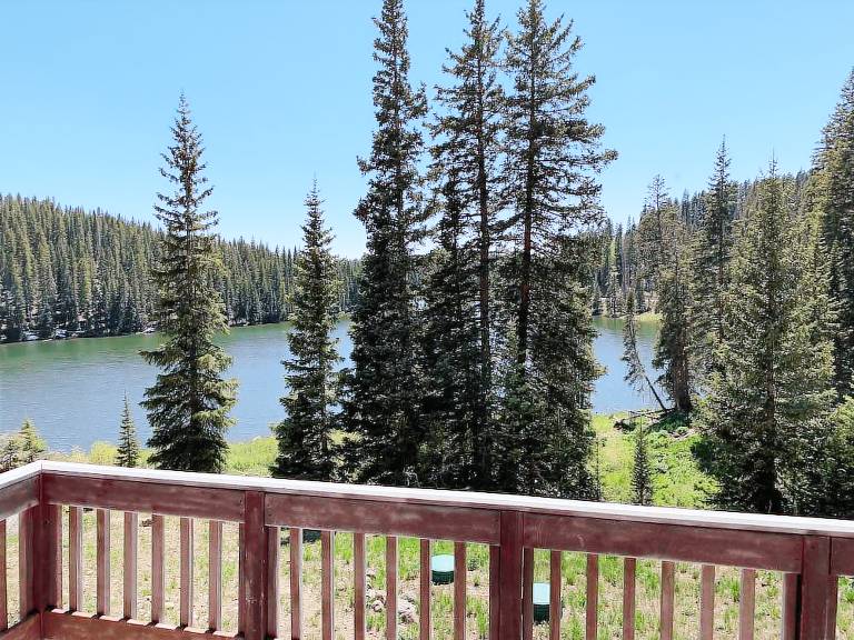 Cabin Cedaredge