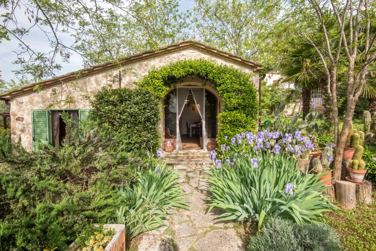 Apartment Colle di Val d'Elsa